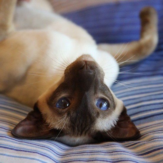 Xem Bóng Đá Nảy Lửa Xổ Số Thứ Năm Thế Giới Giải Trí Thể Thao