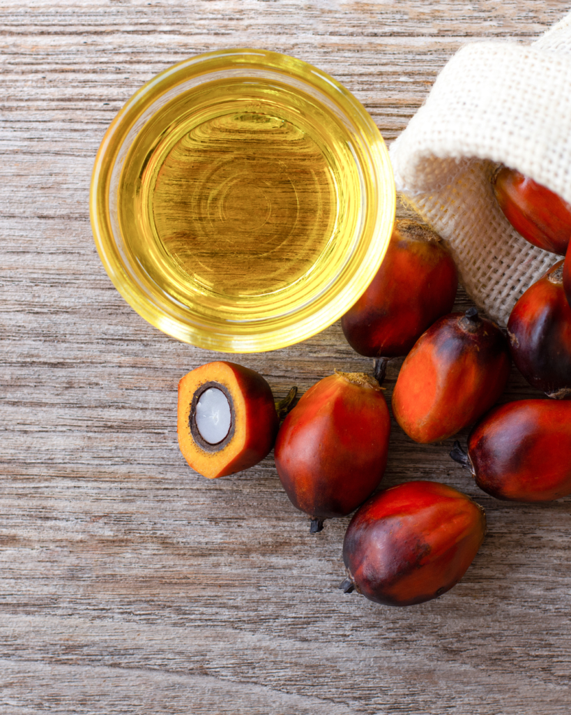 Khám Phá Thế Giới Giải Trí Trực Tuyến Cùng Go88 Rik Hành Trình Đầy Thú Vị