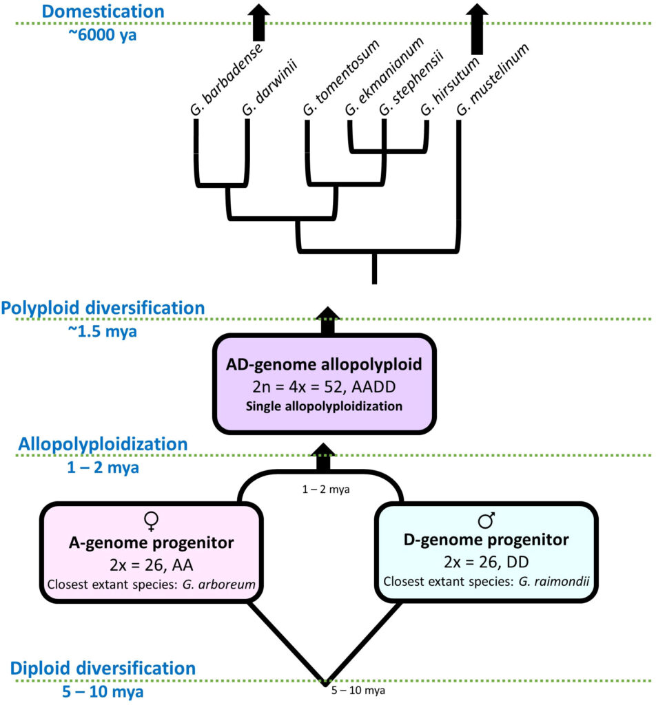 Khám Phá Thế Giới Giải Trí Tại Go88 Hỗ Trợ – Hướng Dẫn Đầy Đủ