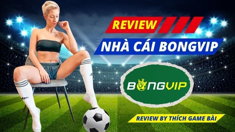 Khám Phá Review Chợ Đêm Hạ Long – Bí Quyết Cá Cược Thành Công