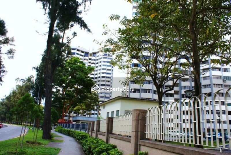 Sex Viet To Thách Thức Và Cơ Hội Trong Thị Trường Tài Chính Đổi Mới