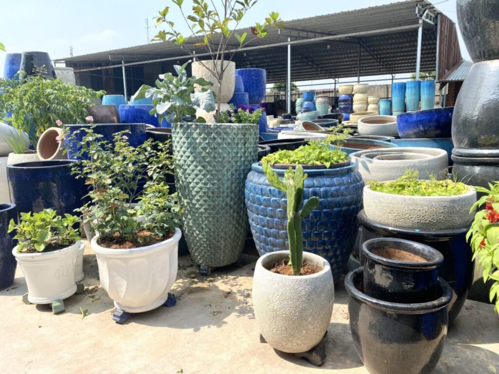 Khám Phá Thế Giới Giải Trí Trực Tuyến Tại Https 555Win.Eu.Com Cơ Hội Thắng Lớn Đang Chờ Bạn!