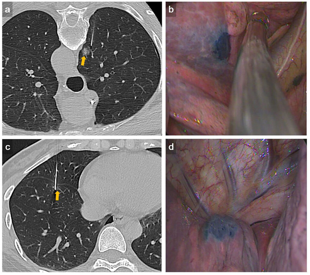 Review Du Lịch Côn Đảo Khám Phá Thế Giới Giải Trí Đỉnh Cao