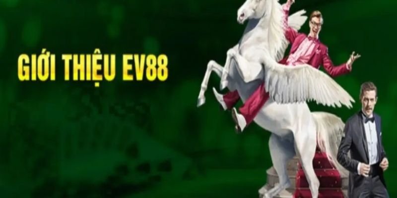 Khám Phá 50Cc Sirius – Nền Tảng Giải Trí Hàng Đầu