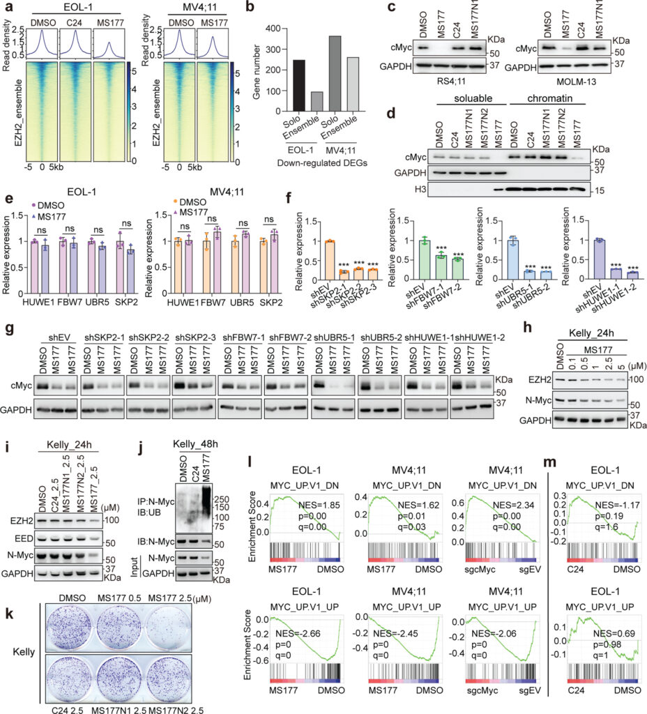 Khám Phá Viet18+ Thiên Đường Giải Trí Trực Tuyến