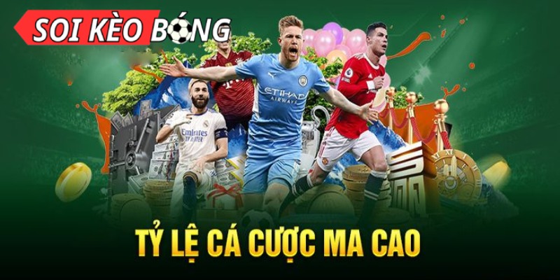 Báo Nhà Đất Bí Quyết Chiến Thắng Cho Người Mê Thể Thao