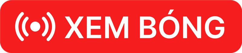 Phim Set My Dữ Liệu 66 Cách Phân Tích Và Sử Dụng Hiệu Quả Trong Môn Thể Thao Đậm Đà Cảm Xúc