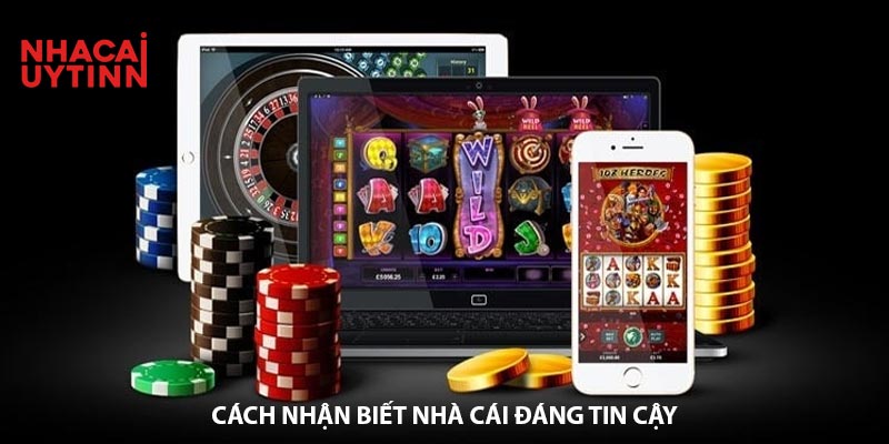 Phímet Lựa Chọn Hàng Đầu Cho Giới Cá Cược