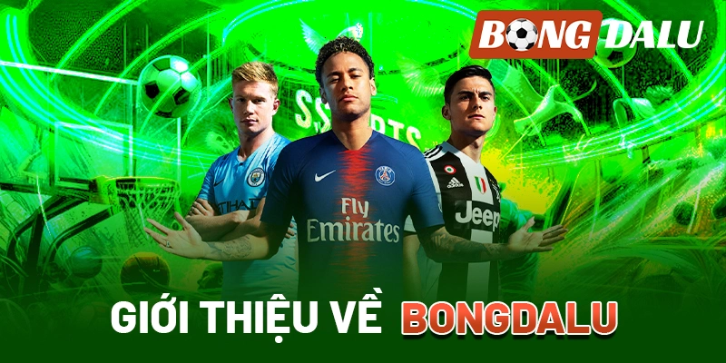 Sextop1 Dữ Liệu 66 Khám Phá Thế Giới Dữ Liệu Trong Làng Túc Cầu