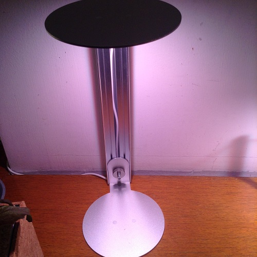 Max88Bet.Net Khám Phá Thế Giới Giải Trí Trực Tuyến Đẳng Cấp Trải Nghiệm Tuyệt Vời Chưa Từng Có