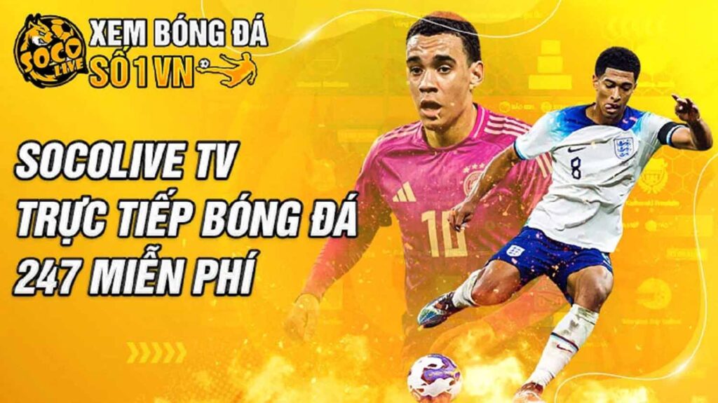 Khám Phá Review Du Lịch Tràng An Trải Nghiệm Trực Tuyến Đặc Sắc Và Đầy Hấp Dẫn